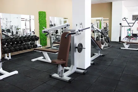 Zona de fuerza de LoBel Gym con banco, mancuernas y máquinas